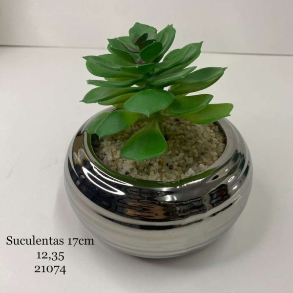 Suculentas Cod 21074